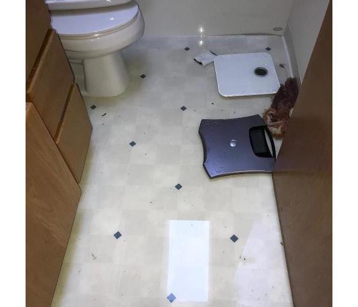 Toilet overflow